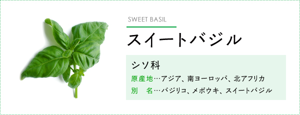 スウィートバジル