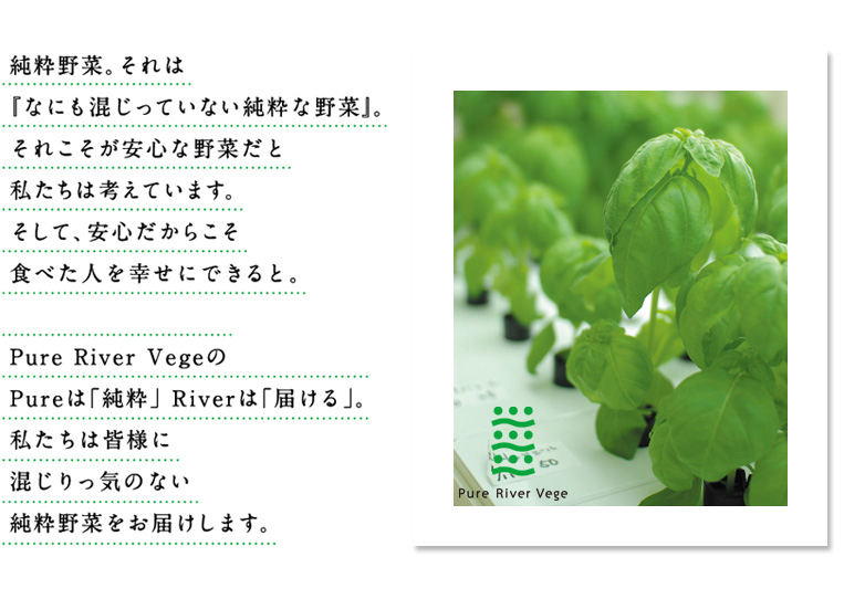 ピュアリバーベジの純野菜