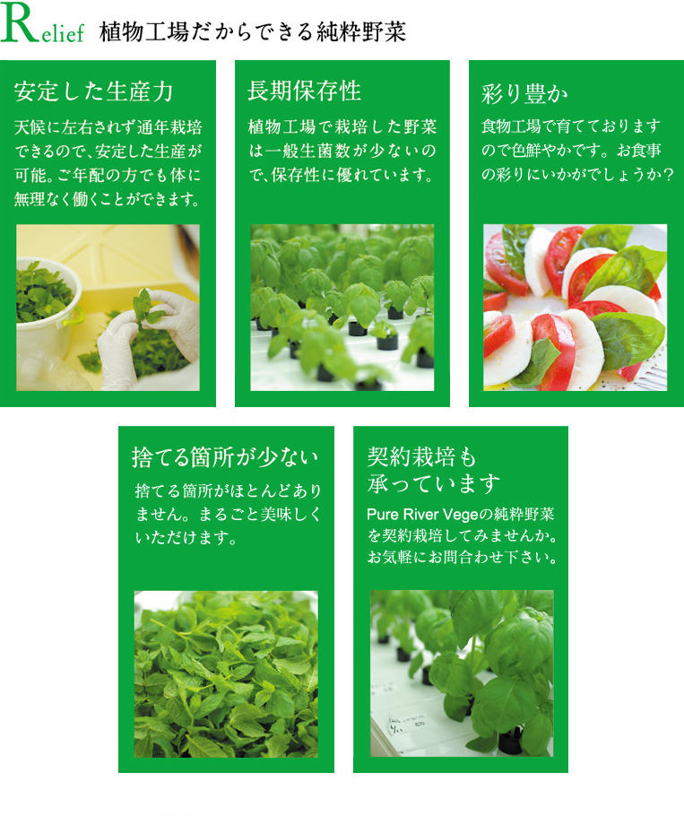 ピュアリバーベジの純野菜