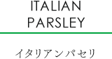 イタリアンパセリ